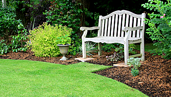 Wooden Bench In a Garden